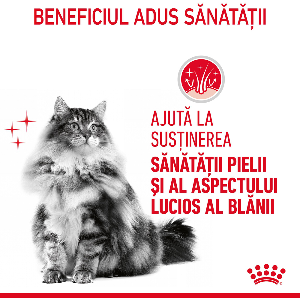 Hrana umeda pentru pisici ROYAL CANIN FCN Hair&Skin Care Jelly, Adult, 85 g
