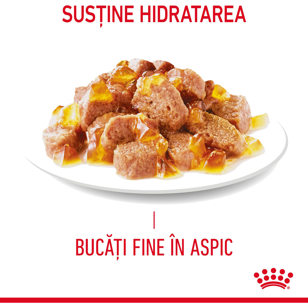 Hrana umeda pentru pisici ROYAL CANIN FCN Hair&Skin Care Jelly, Adult, 85 g