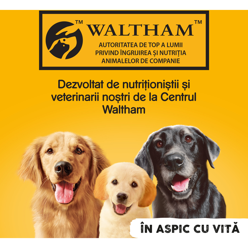 Hrana umeda pentru caini PEDIGREE, Adult, Vita in aspic, 1200g
