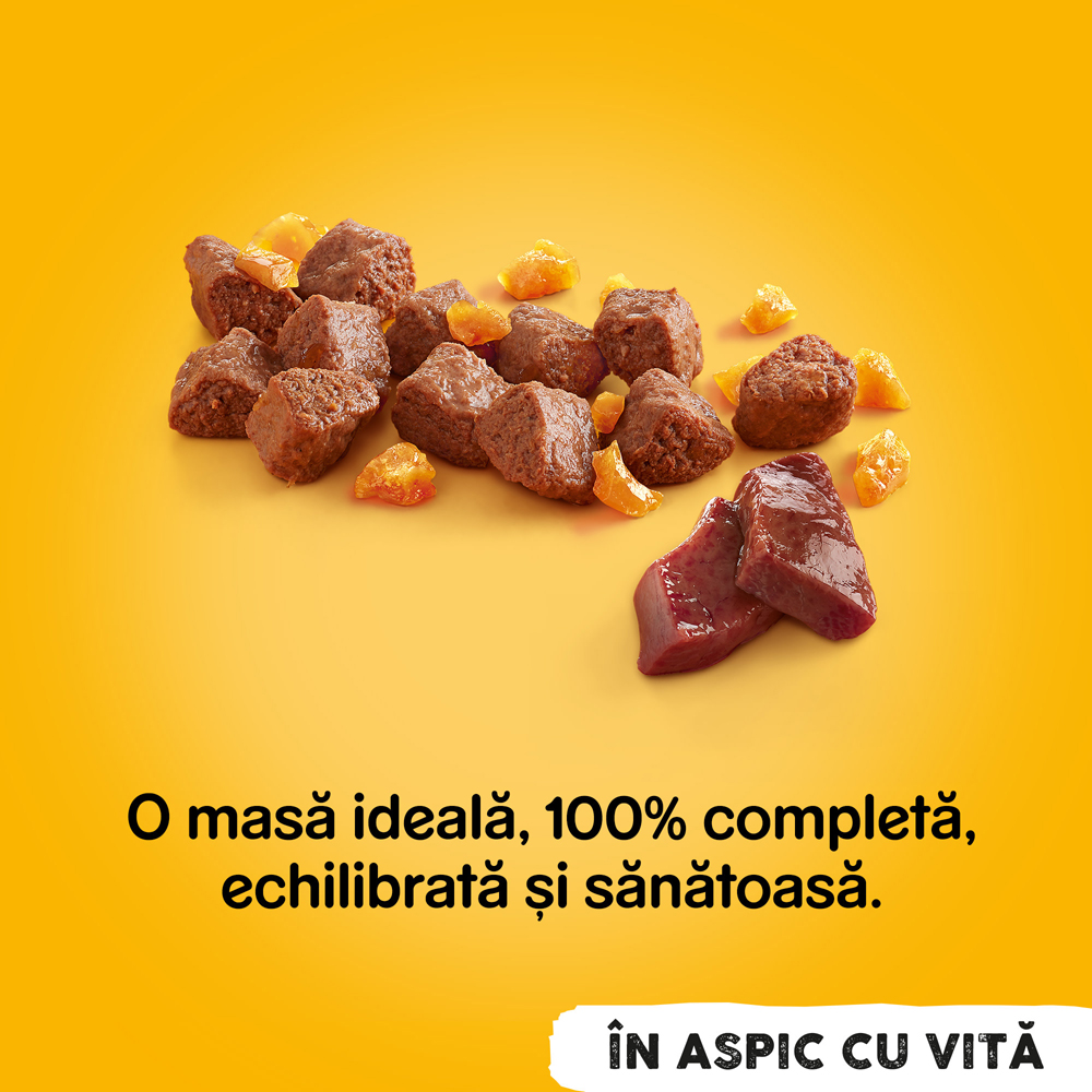 Hrana umeda pentru caini PEDIGREE, Adult, Vita in aspic, 1200g