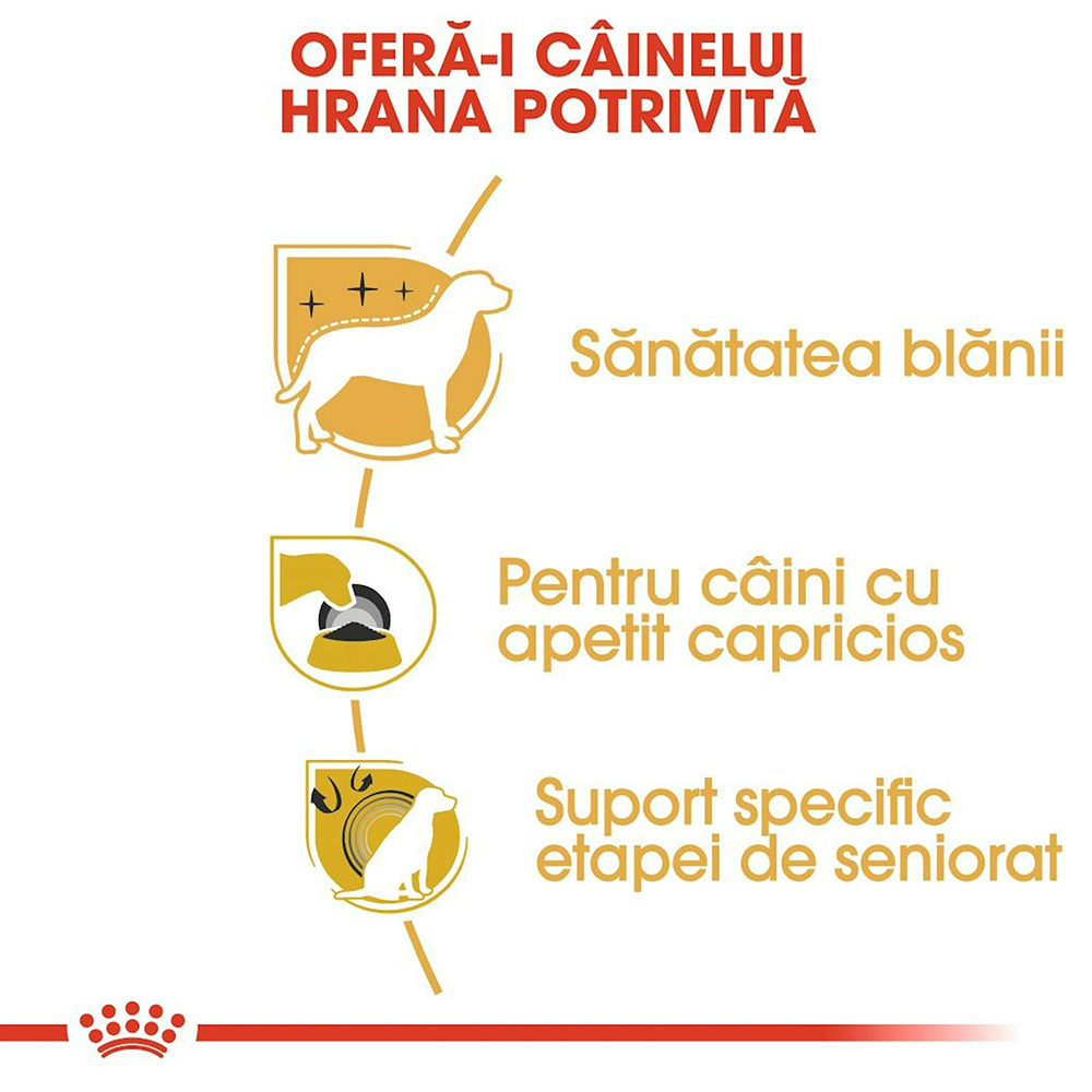 Hrana uscata pentru caini ROYAL CANIN BHN Yorkshire Terrier, Adult, Pasare, 1.5 kg