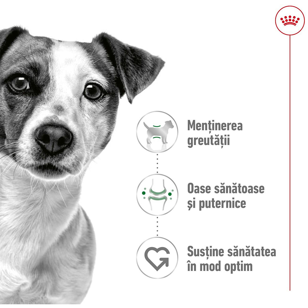 Hrana uscata pentru caini ROYAL CANIN SHN Mini, Adult, Pasare, 2 kg