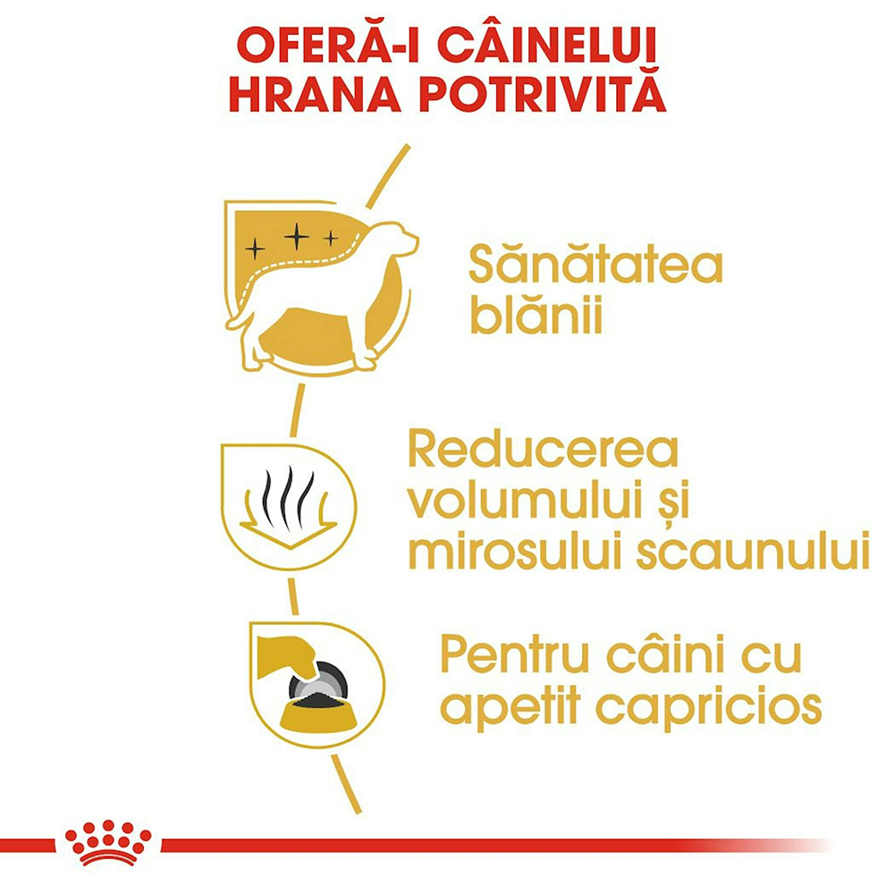 Hrana uscata pentru caini ROYAL CANIN Bichon Maltez, Adult, Pasare, 1.5 kg
