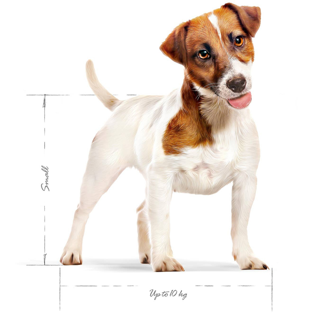 Hrana uscata pentru caini ROYAL CANIN SHN Mini, Adult, Pasare, 8 kg