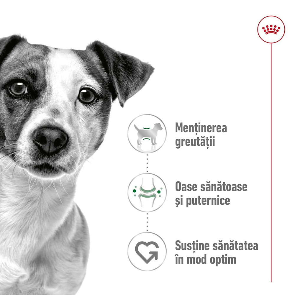 Hrana uscata pentru caini ROYAL CANIN SHN Mini, Adult, Pasare, 8 kg