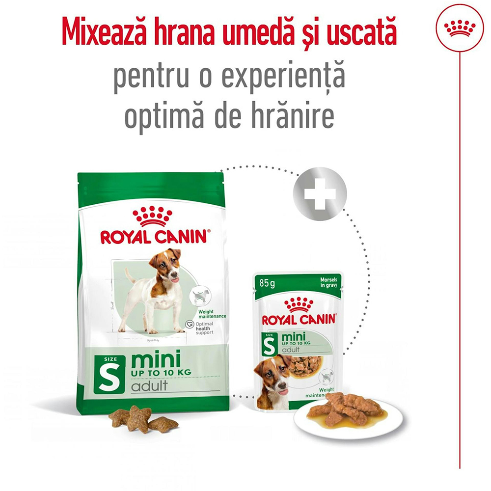 Hrana uscata pentru caini ROYAL CANIN SHN Mini, Adult, Pasare, 8 kg