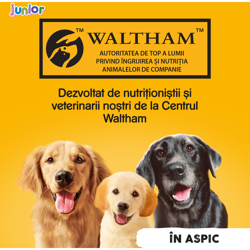 Hrana umeda pentru caini PEDIGREE, Junior, Pui in aspic, 400 g