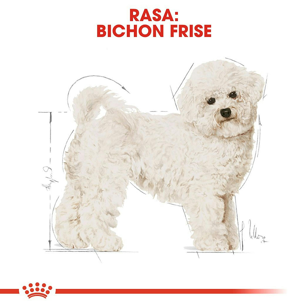 Hrana uscata pentru caini ROYAL CANIN BHN Bichon Frise, Adult, Pasare, 1.5 kg
