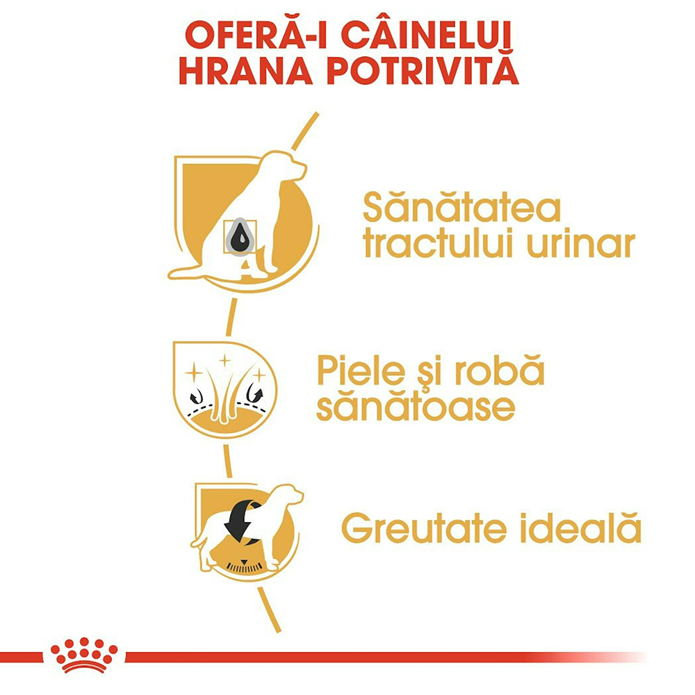 Hrana uscata pentru caini ROYAL CANIN BHN Bichon Frise, Adult, Pasare, 1.5 kg