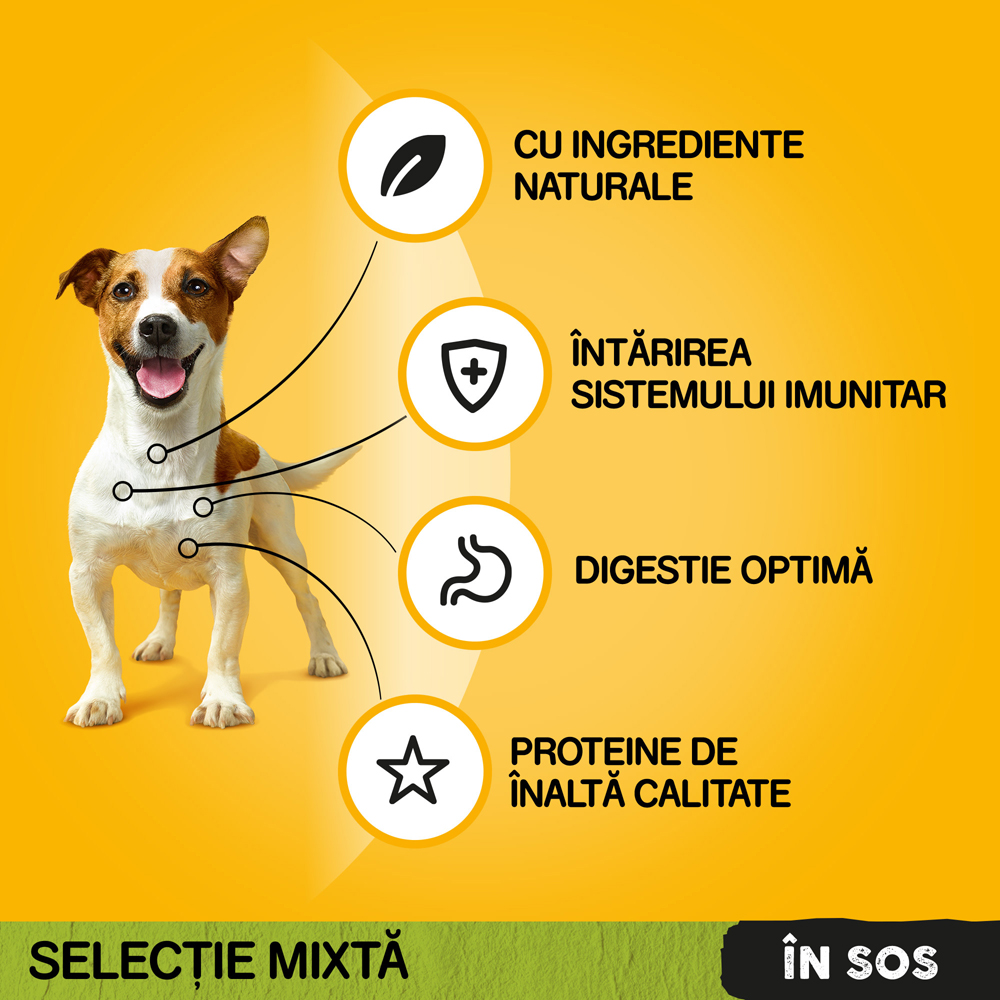 Hrana umeda pentru caini PEDIGREE, Adult, Megapack, 40 x 100g
