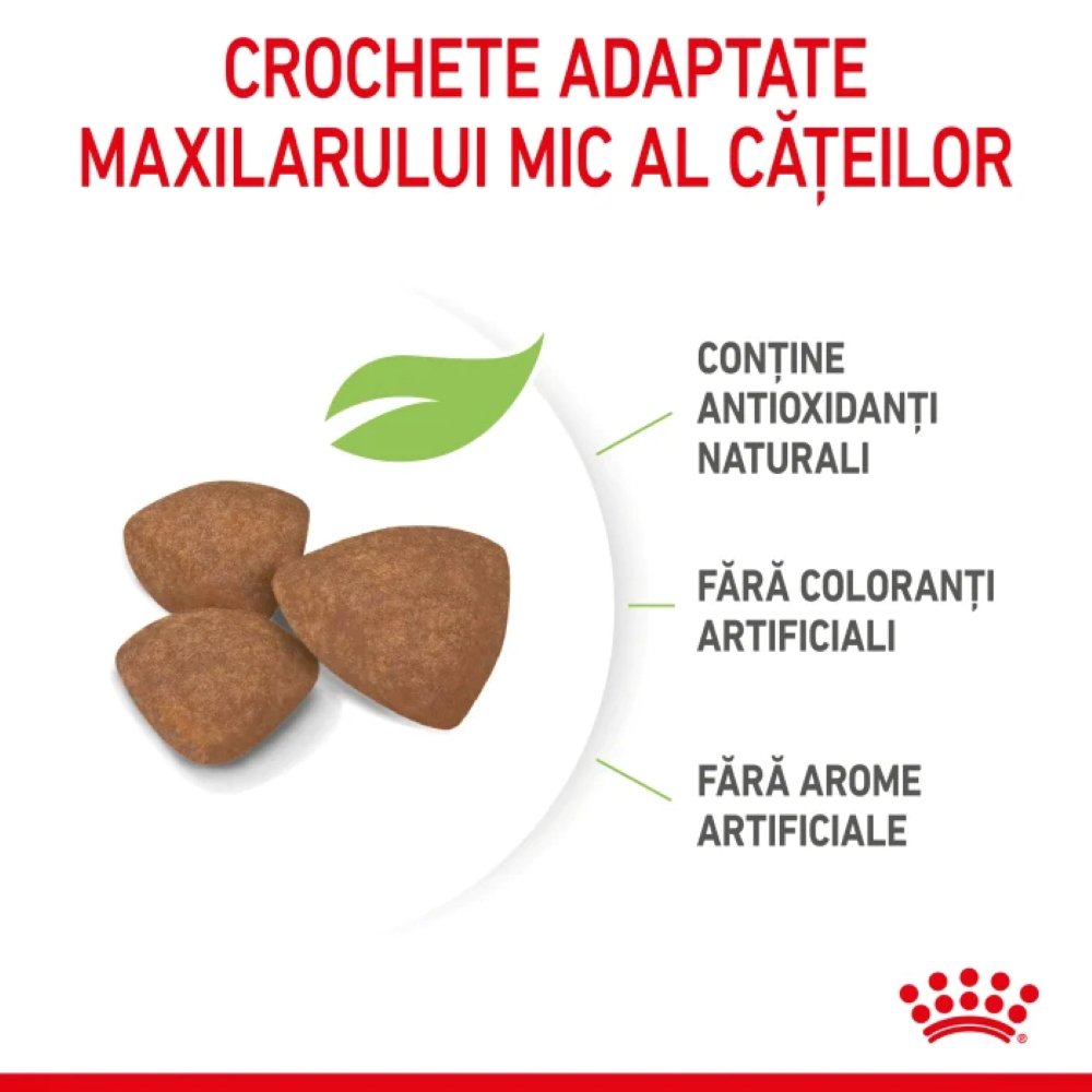 Hrana uscata pentru caini ROYAL CANIN SHN Mini, Junior, Pasare, 2 kg