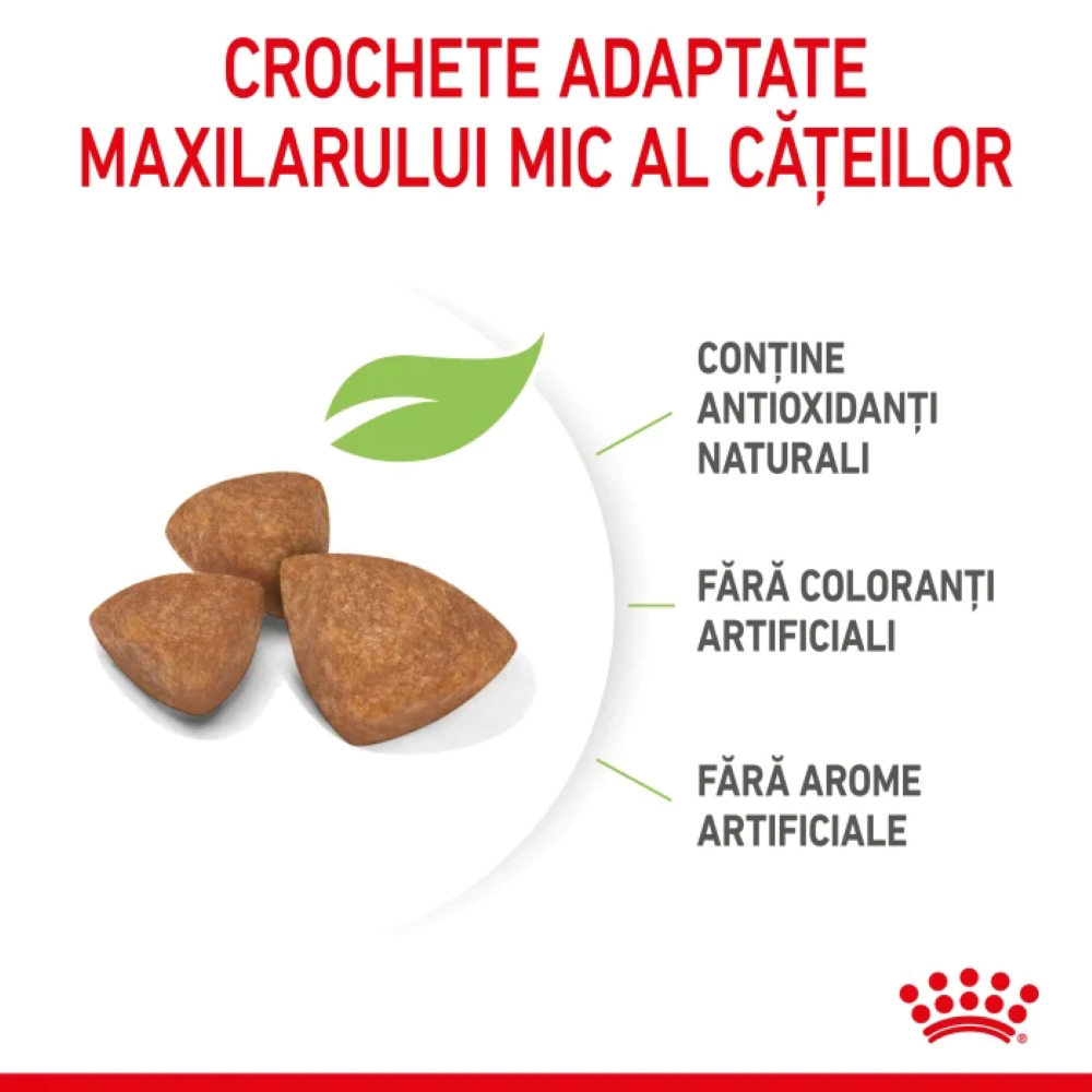 Hrana uscata pentru caini ROYAL CANIN SHN X-Small, Junior, Pasare, 1.5 kg