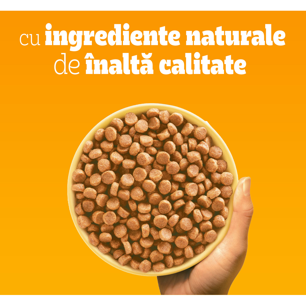 Hrana uscata pentru caini PEDIGREE, Junior, Pasare si legume, 3 kg
