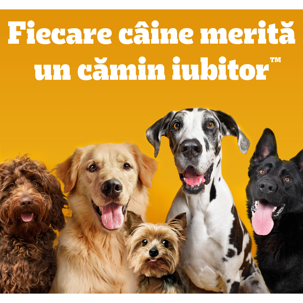 Hrana uscata pentru caini PEDIGREE, Junior, Pasare si legume, 12 kg