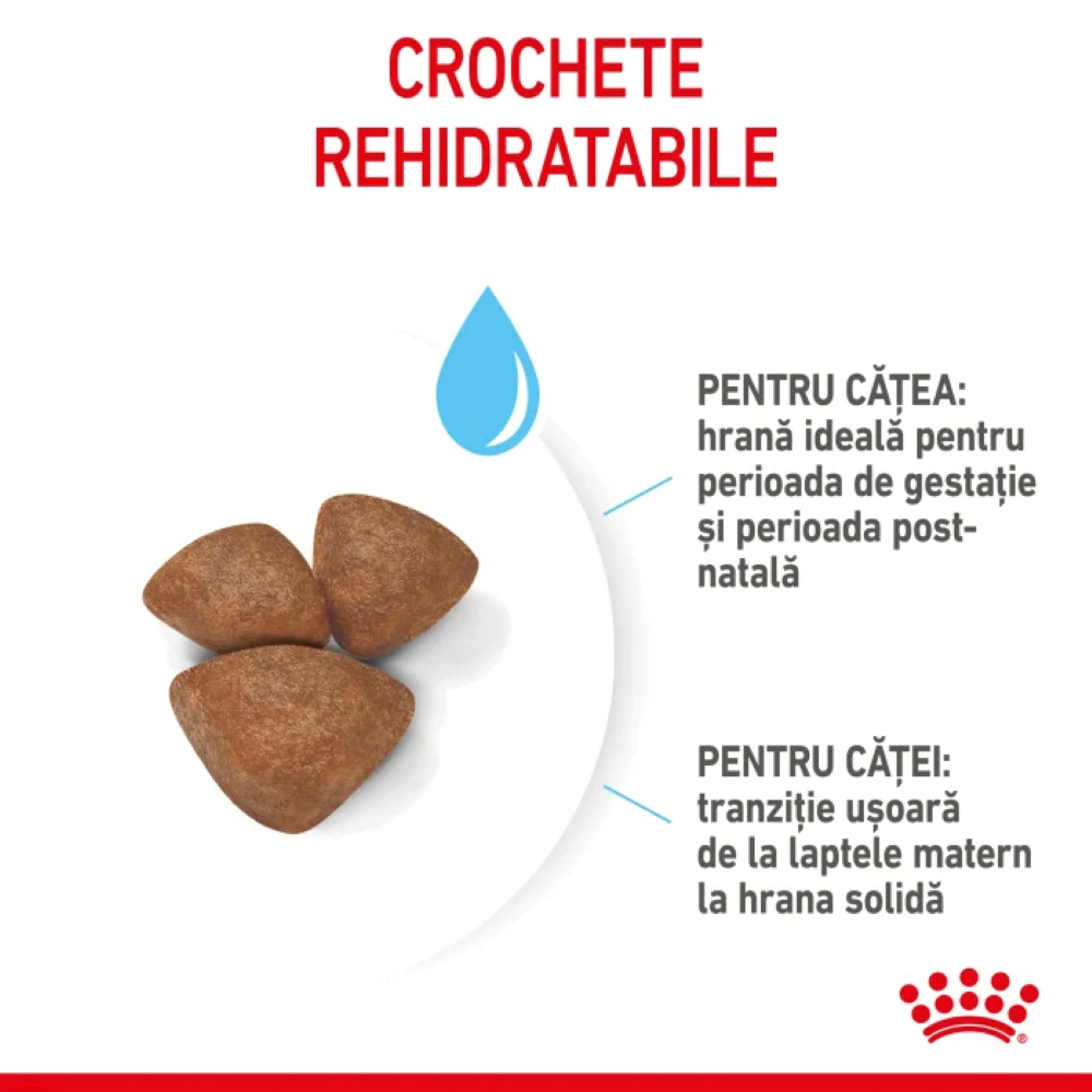 Hrana uscata pentru caini ROYAL CANIN SHN Mini Starter, Junior, Pasare, 4 kg