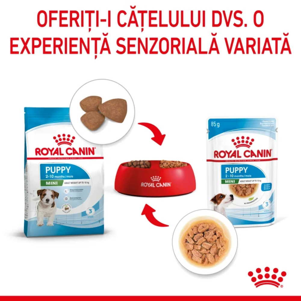 Hrana umeda pentru caini ROYAL CANIN SHN Mini, Junior, Mix in sos, 12 x 85g