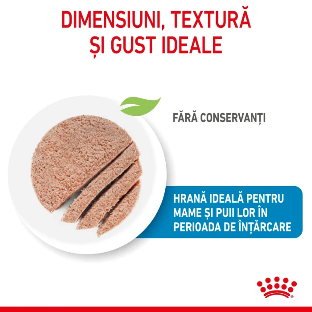 Hrana umeda pentru caini ROYAL CANIN SHN Starter Pate, Junior, Mix, 12 x 195g