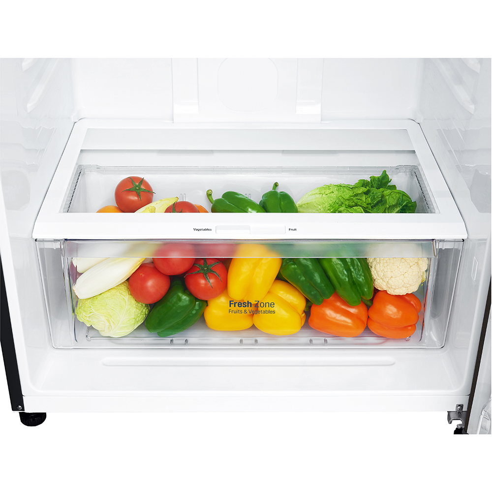 Frigider cu doua usi LG GTF744BLPED, No Frost, 509 l, H 180 cm, Clasa E, Dozator apa, negru