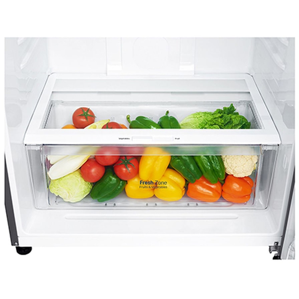 Frigider cu doua usi LG GTF744PZPED, No Frost, 509 l, H 180 cm, Clasa E, Dozator apa, argintiu