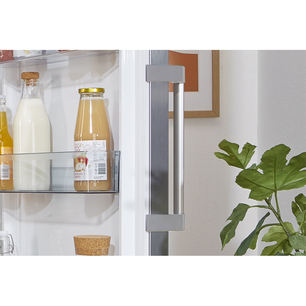 Frigider cu o usa GORENJE R619EES5, 398 l, H 185 cm, Clasa E, argintiu