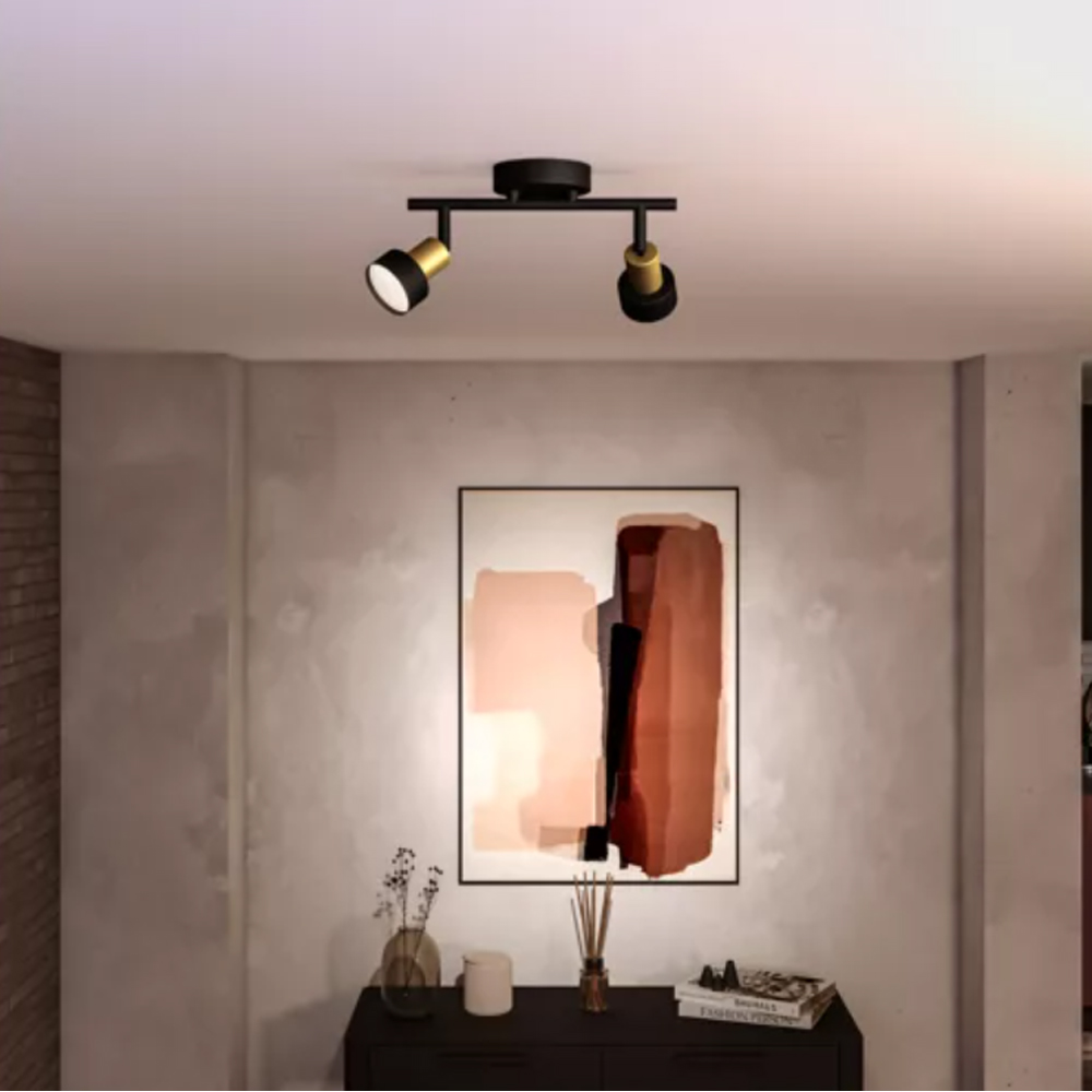 Spot LED PHILIPS 8720169299894, 2 x 5W, IP20, negru