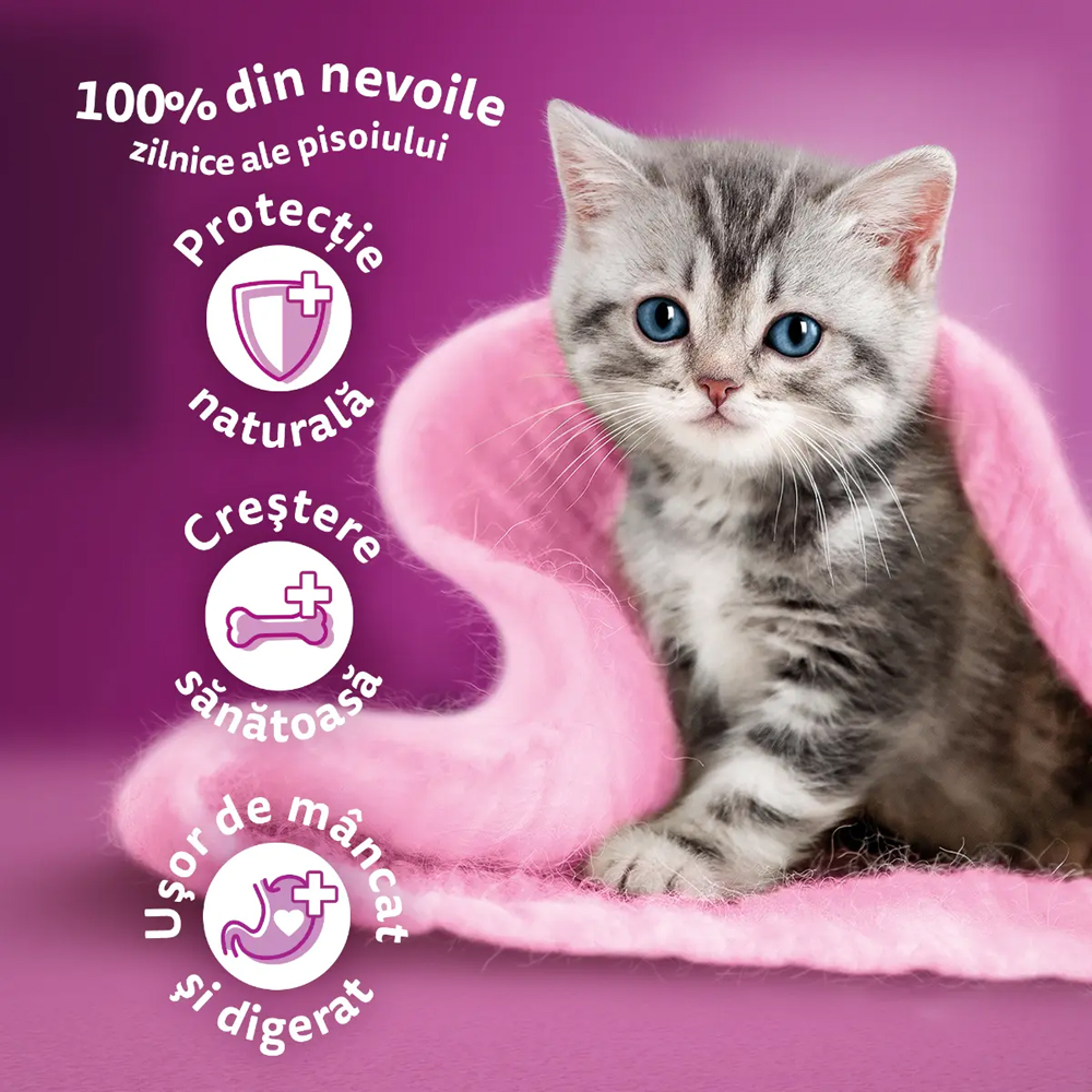Hrana uscata pentru pisici WHISKAS, Junior, Pui, 300 g