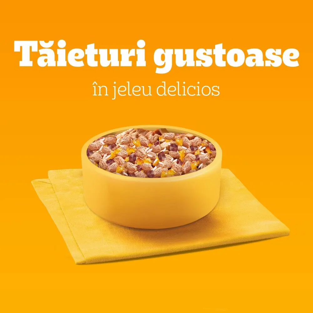 Hrana umeda pentru caini PEDIGREE, Junior, Pui si orez in aspic, 100 g