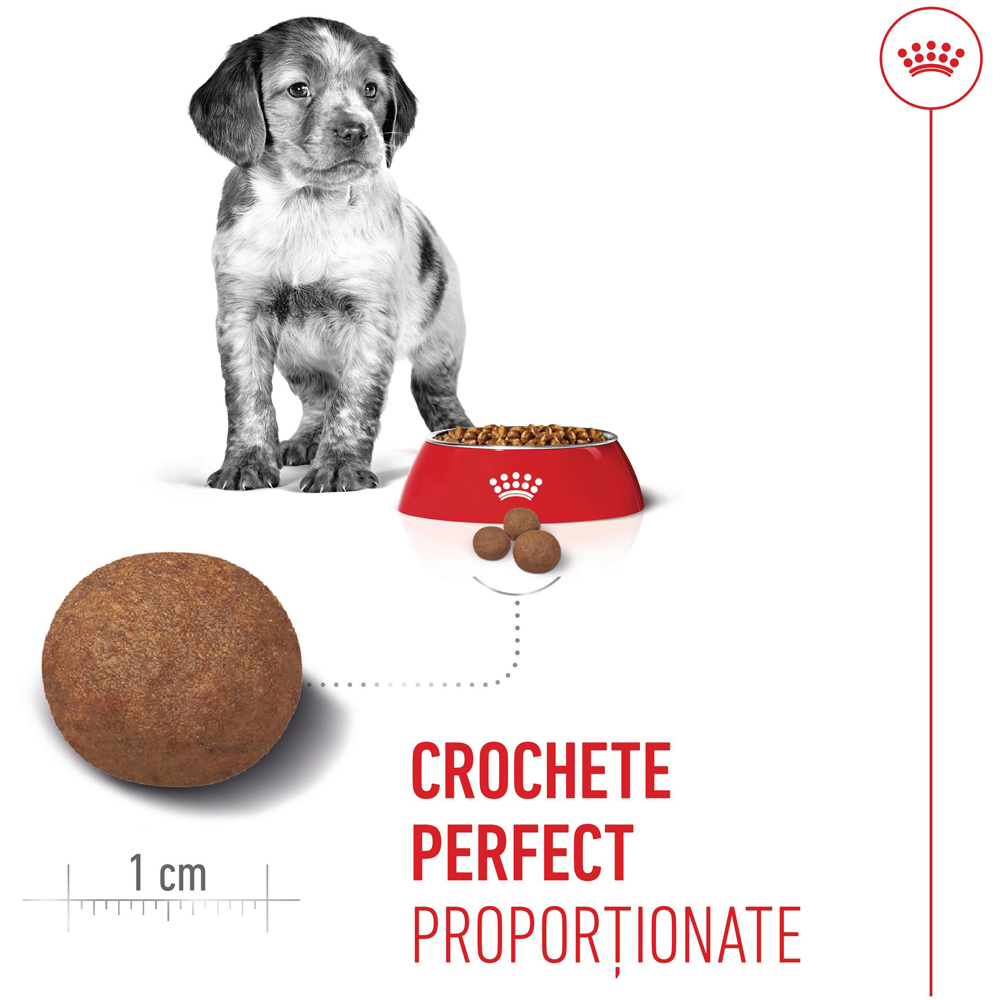 Hrana uscata pentru caini ROYAL CANIN SHN Medium, Junior, Pasare, 3 kg