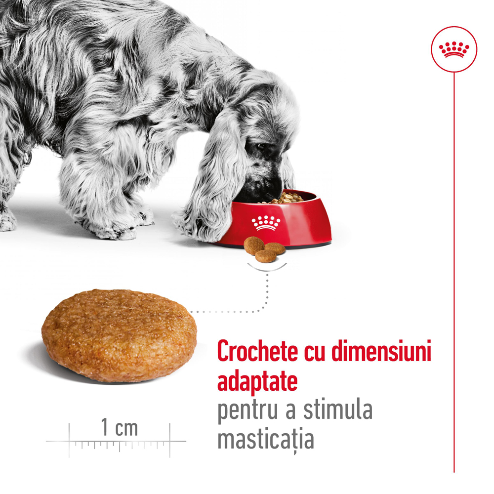 Hrana uscata pentru caini ROYAL CANIN SHN Medium, Adult, Pasare, 3 kg