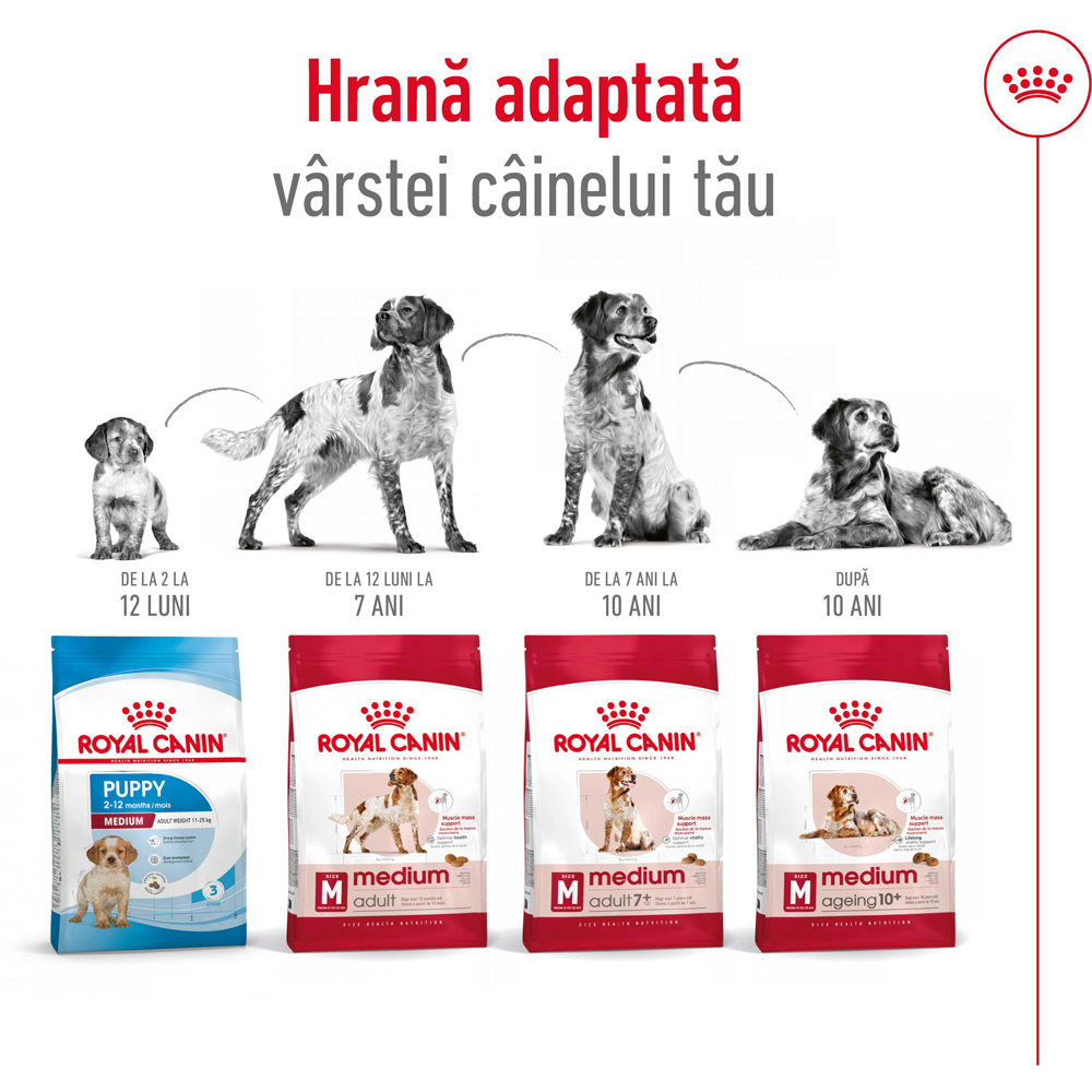 Hrana uscata pentru caini ROYAL CANIN SHN Medium, Adult, Pasare, 3 kg