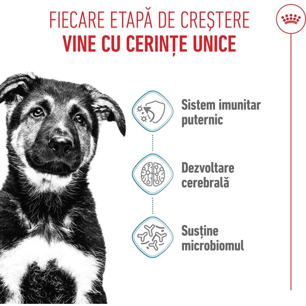 Hrana uscata pentru caini ROYAL CANIN SHN Maxi, Junior, Pasare, 3 kg
