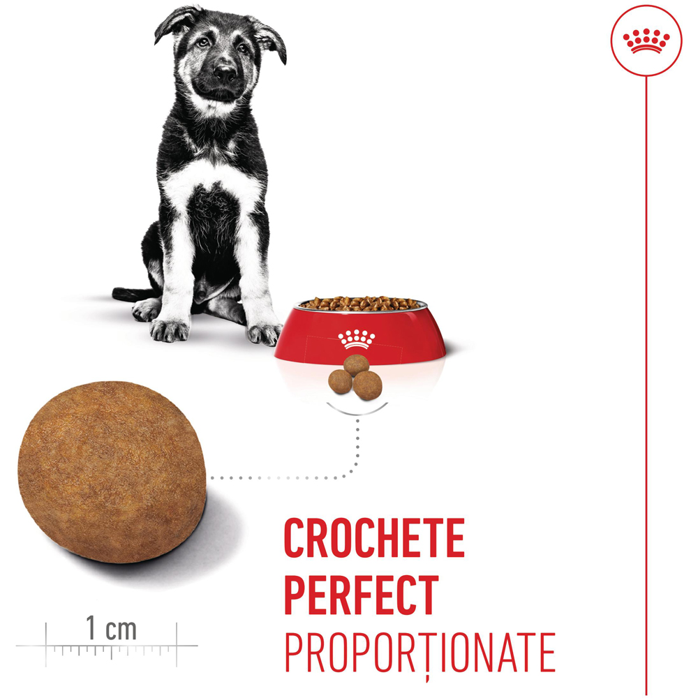 Hrana uscata pentru caini ROYAL CANIN SHN Maxi, Junior, Pasare, 3 kg