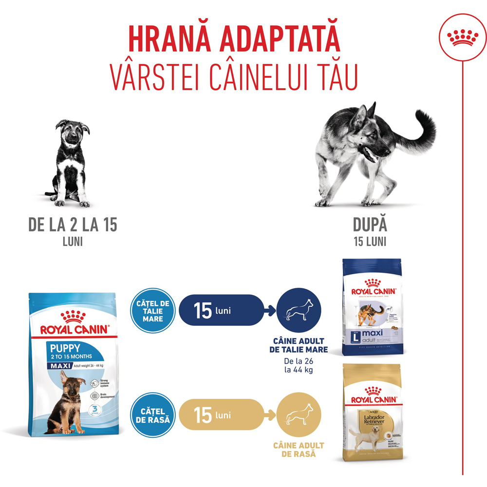 Hrana uscata pentru caini ROYAL CANIN SHN Maxi, Junior, Pasare, 3 kg