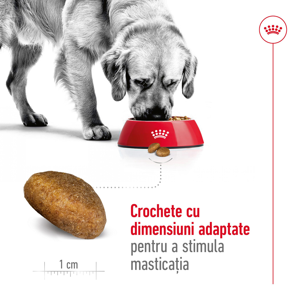 Hrana uscata pentru caini ROYAL CANIN SHN Maxi, Adult, Pasare, 3 kg