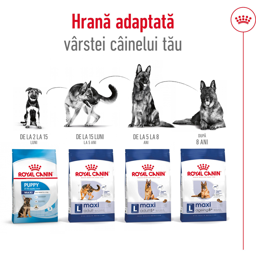 Hrana uscata pentru caini ROYAL CANIN SHN Maxi, Adult, Pasare, 3 kg