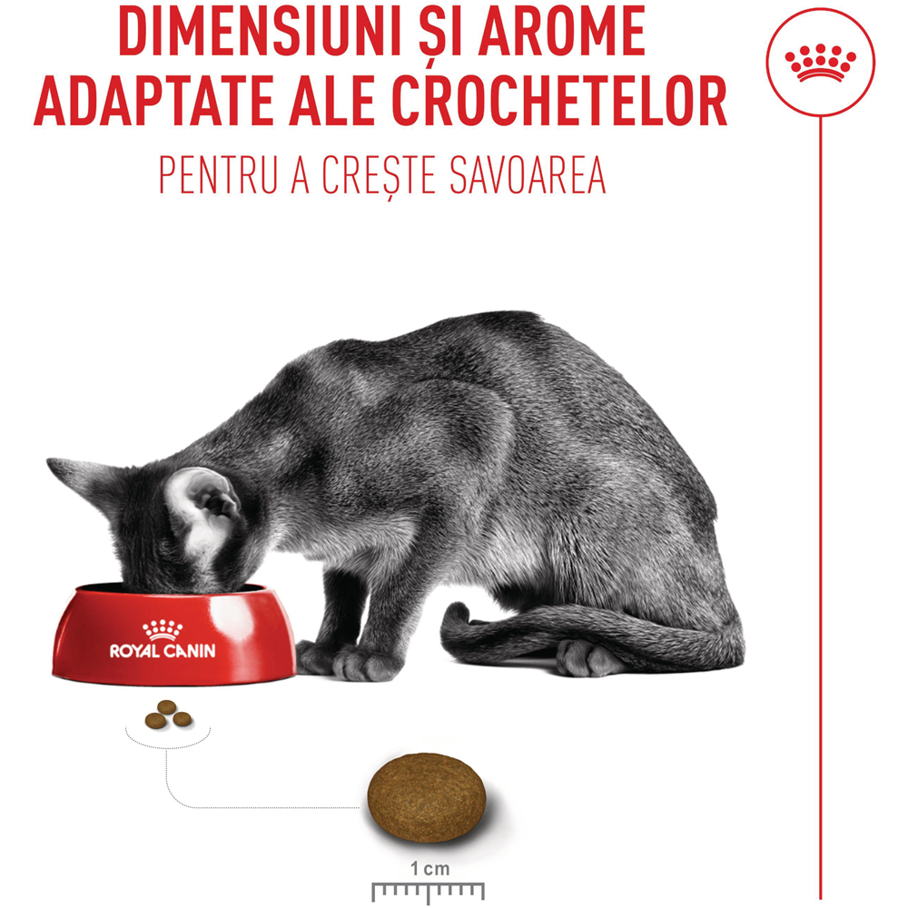 Hrana uscata pentru pisici ROYAL CANIN FHN Fussy, Adult, Pasare, 400 g