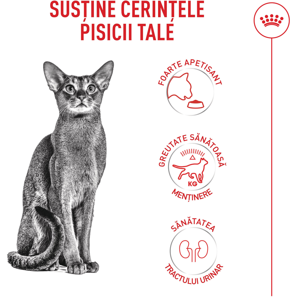 Hrana uscata pentru pisici ROYAL CANIN FHN Fussy, Adult, Pasare, 400 g