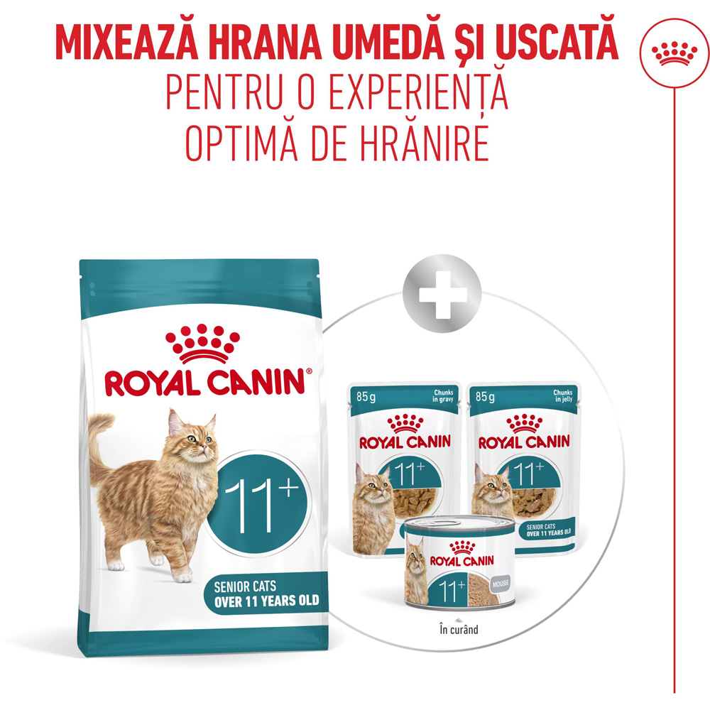 Hrana uscata pentru pisici ROYAL CANIN FHN Healthy Ageing 11+, Senior, Pasare, 400 g