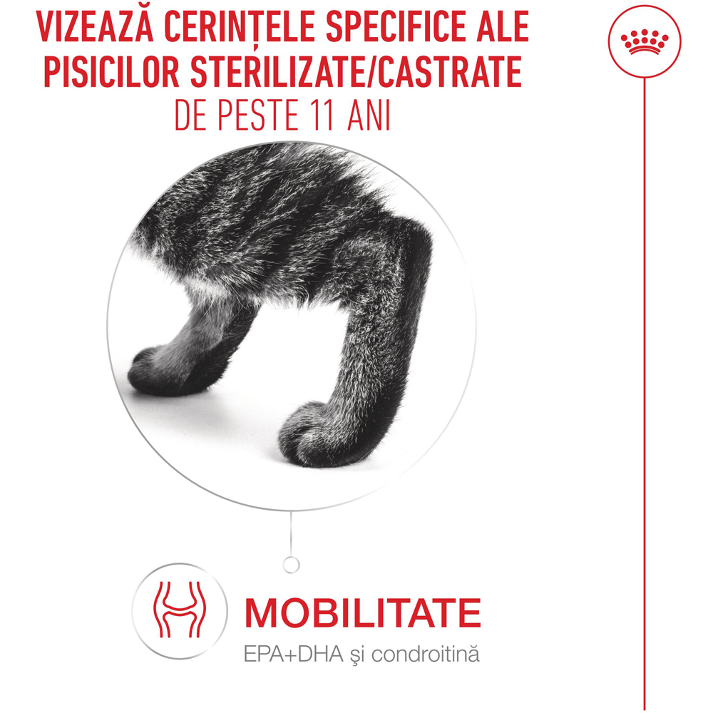 Hrana uscata pentru pisici ROYAL CANIN FHN Sterilised 11+, Senior, Pasare, 400 g