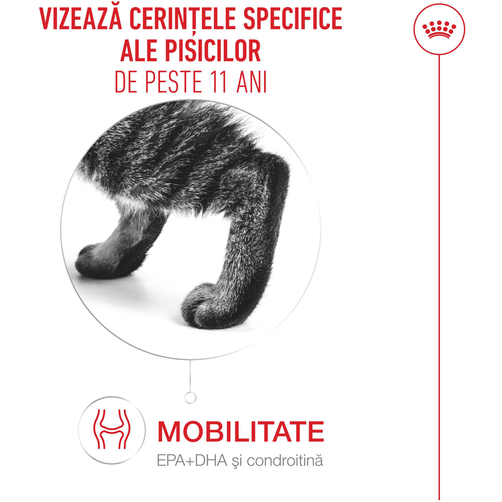 Hrana uscata pentru pisici ROYAL CANIN FHN Healthy Ageing 11+, Senior, Pasare, 2 kg