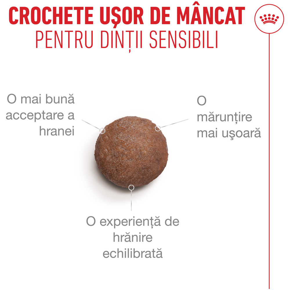 Hrana uscata pentru pisici ROYAL CANIN FHN Healthy Ageing 11+, Senior, Pasare, 2 kg