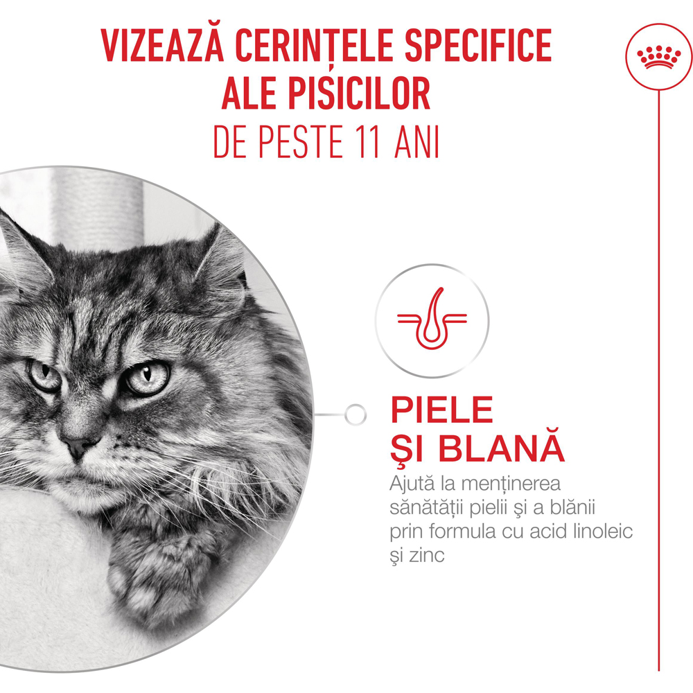Hrana umeda pentru pisici ROYAL CANIN FHN Ageing 11+ Gravy, Senior, 85 g