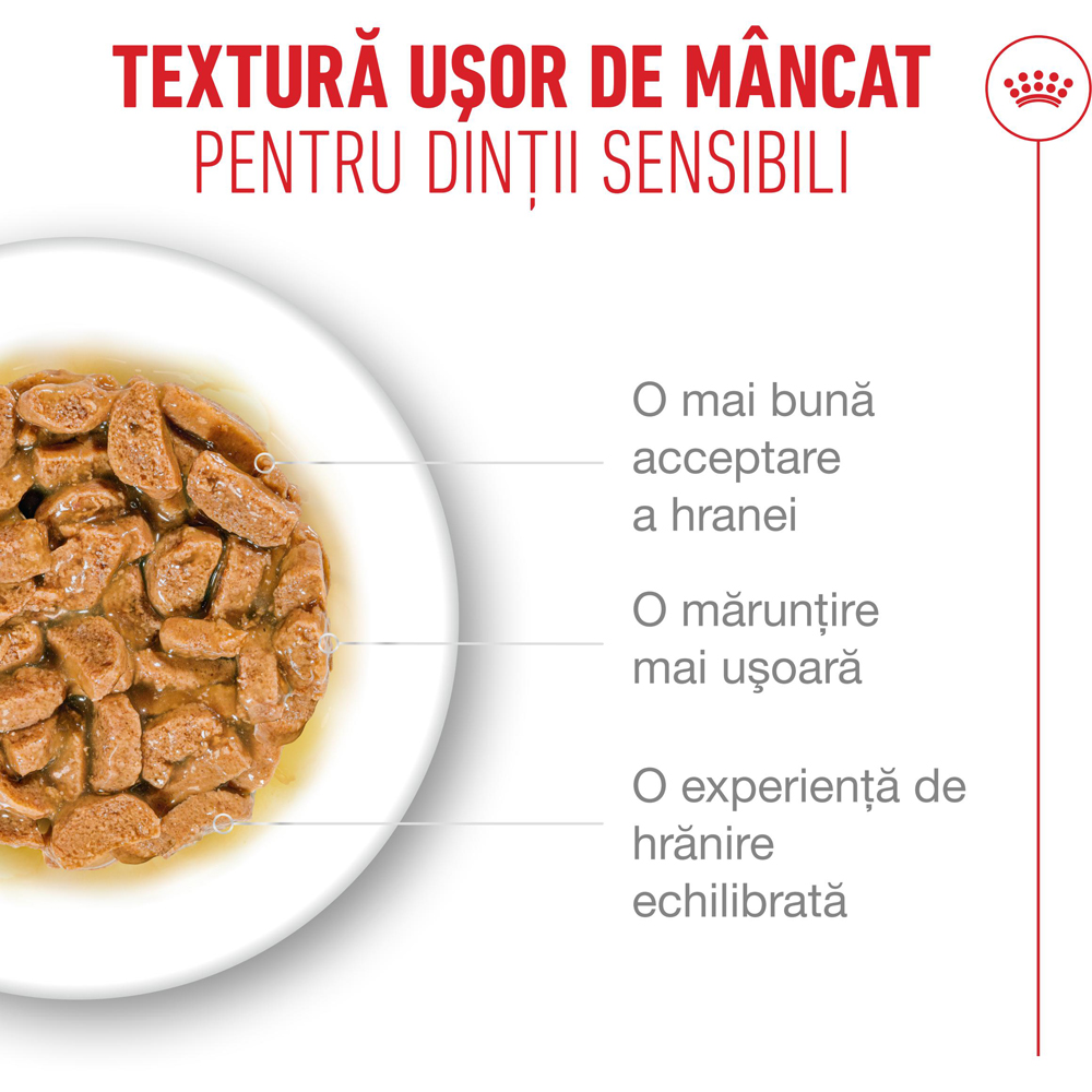 Hrana umeda pentru pisici ROYAL CANIN FHN Ageing 11+ Gravy, Senior, 85 g