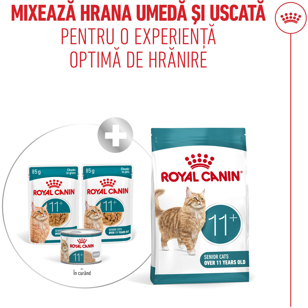 Hrana umeda pentru pisici ROYAL CANIN FHN Ageing 11+ Gravy, Senior, 85 g