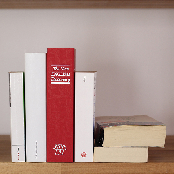 Caseta valori ROTTNER Bookcase, Inchidere cheie, 55 x 155 x 240 mm, rosu