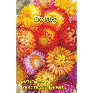 Seminte Imortele Melanj HOBBY, 0.4g