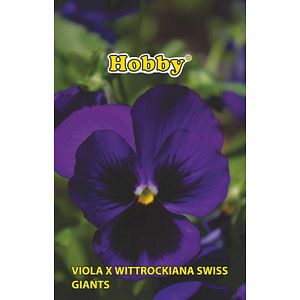 Seminte panselute, albastru Hobby