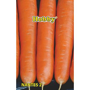 Seminte morcovi Nantes  Hobby