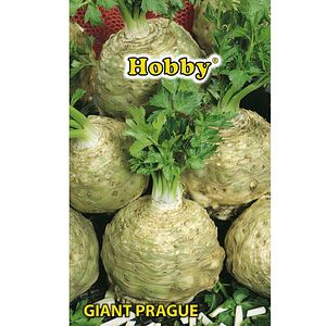 Seminte telina Giant Prague Hobby