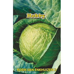 Seminte varza Gloria Hobby
